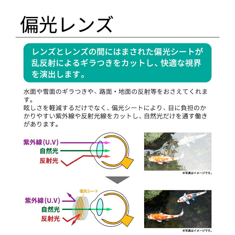 タラスブルバ サングラス 偏光サングラス ミラーレンズ アジアンフィット TARASBOULBA TB3011 55サイズ ウェリントン型 ユニセックス メンズ レディース